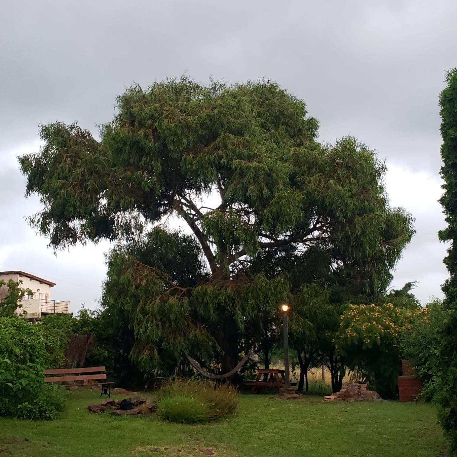 Casa Bordo, B & B Tandil Ngoại thất bức ảnh